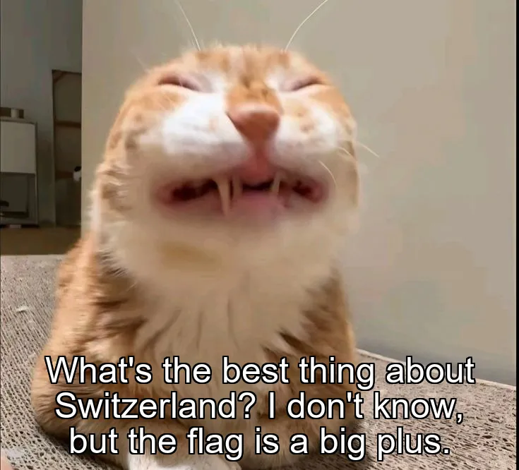What's the best thing about Switzerland? I don't know, but the flag is a big plus.