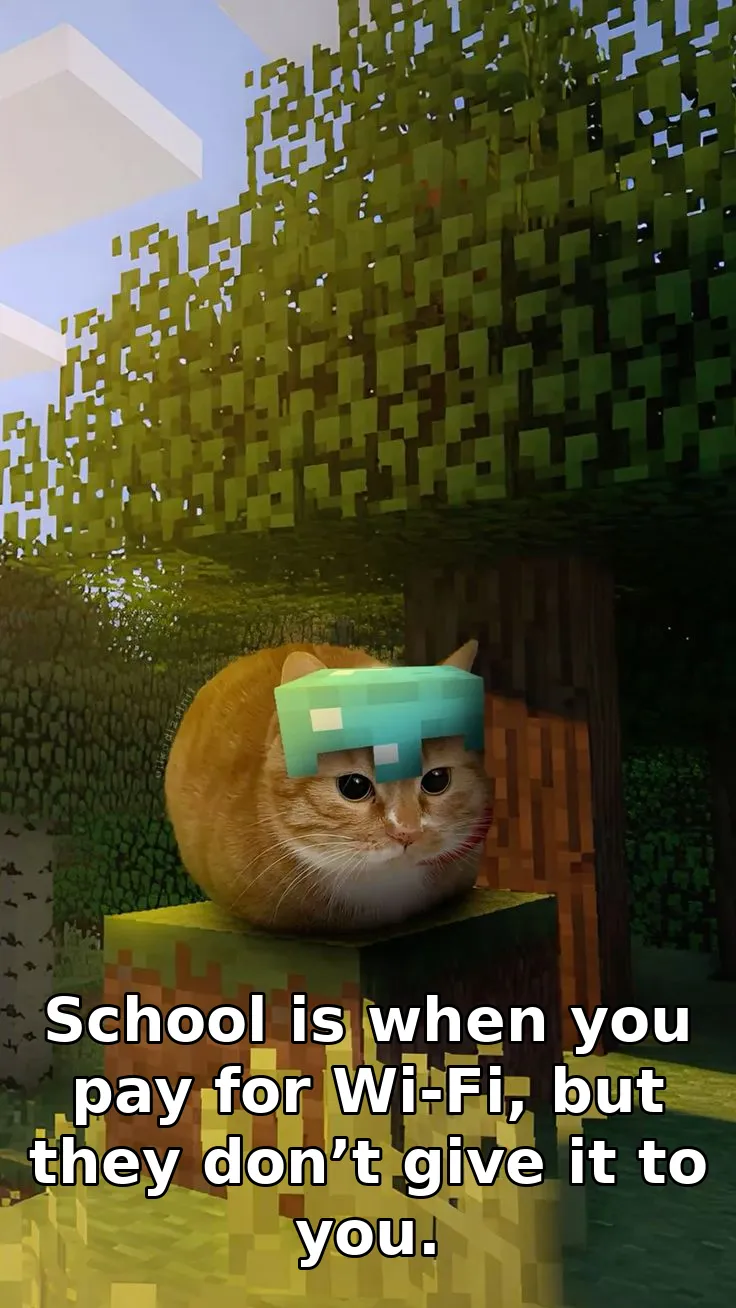 School is when you pay for Wi-Fi, but they don’t give it to you.