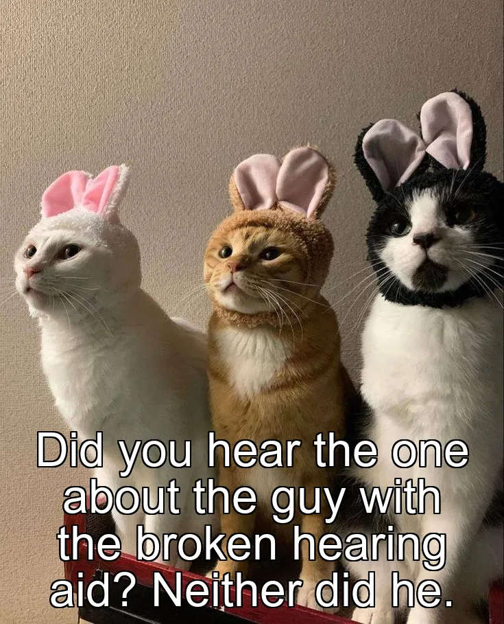 Did you hear the one about the guy with the broken hearing aid? Neither did he.