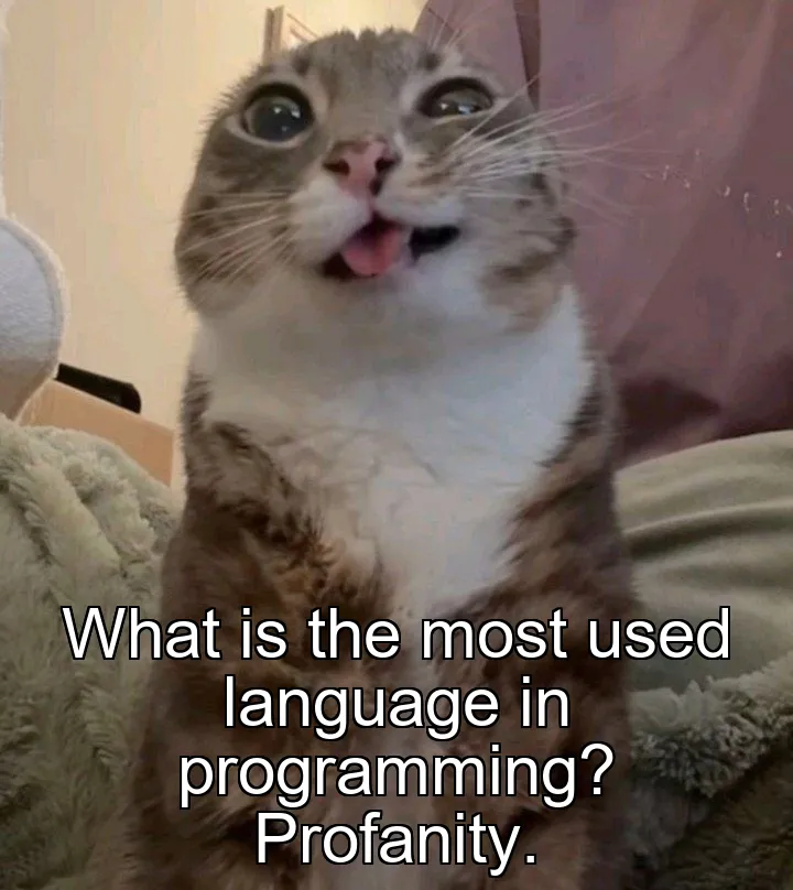 What is the most used language in programming? Profanity.