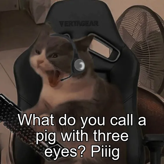 What do you call a pig with three eyes? Piiig