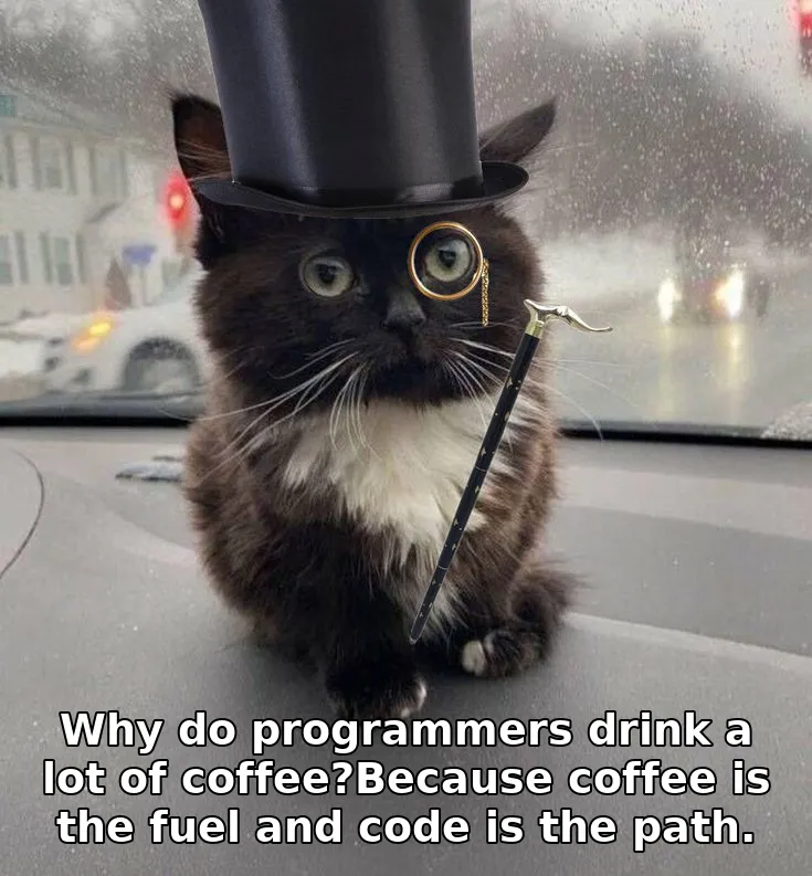 Why do programmers drink a lot of coffee?Because coffee is the fuel and code is the path.