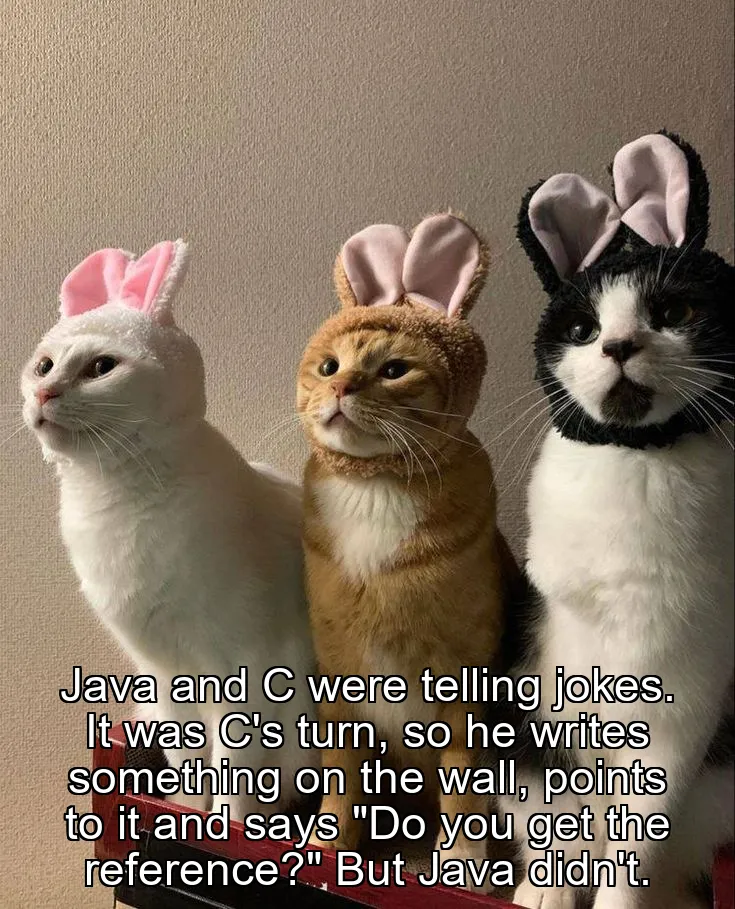 Java and C were telling jokes. It was C's turn, so he writes something on the wall, points to it and says "Do you get the reference?" But Java didn't.