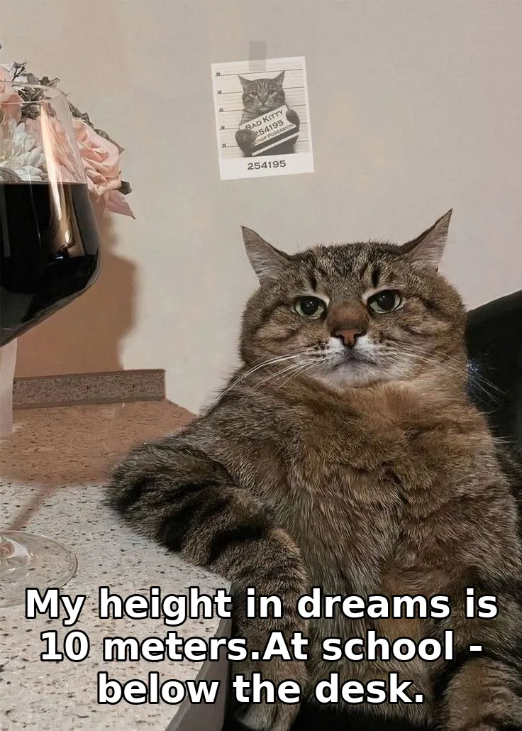 My height in dreams is 10 meters.At school - below the desk.