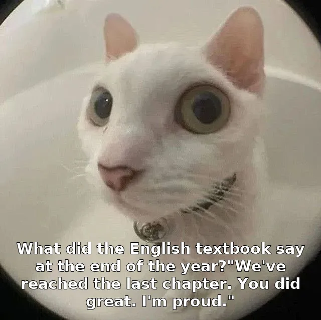 What did the English textbook say at the end of the year?"We've reached the last chapter. You did great. I'm proud."
