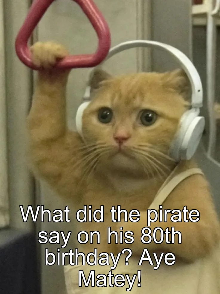 What did the pirate say on his 80th birthday? Aye Matey!