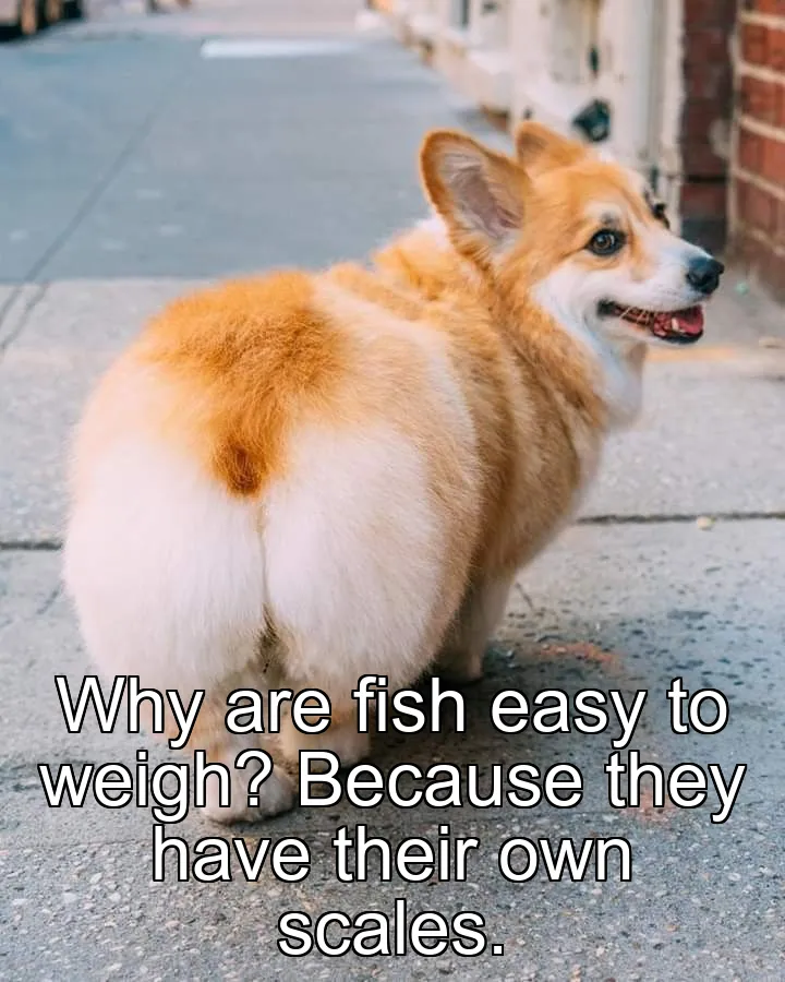Why are fish easy to weigh? Because they have their own scales.