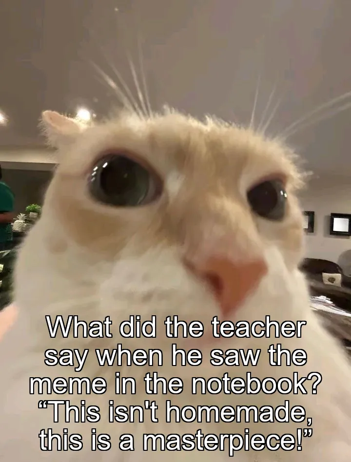 What did the teacher say when he saw the meme in the notebook? “This isn't homemade, this is a masterpiece!”