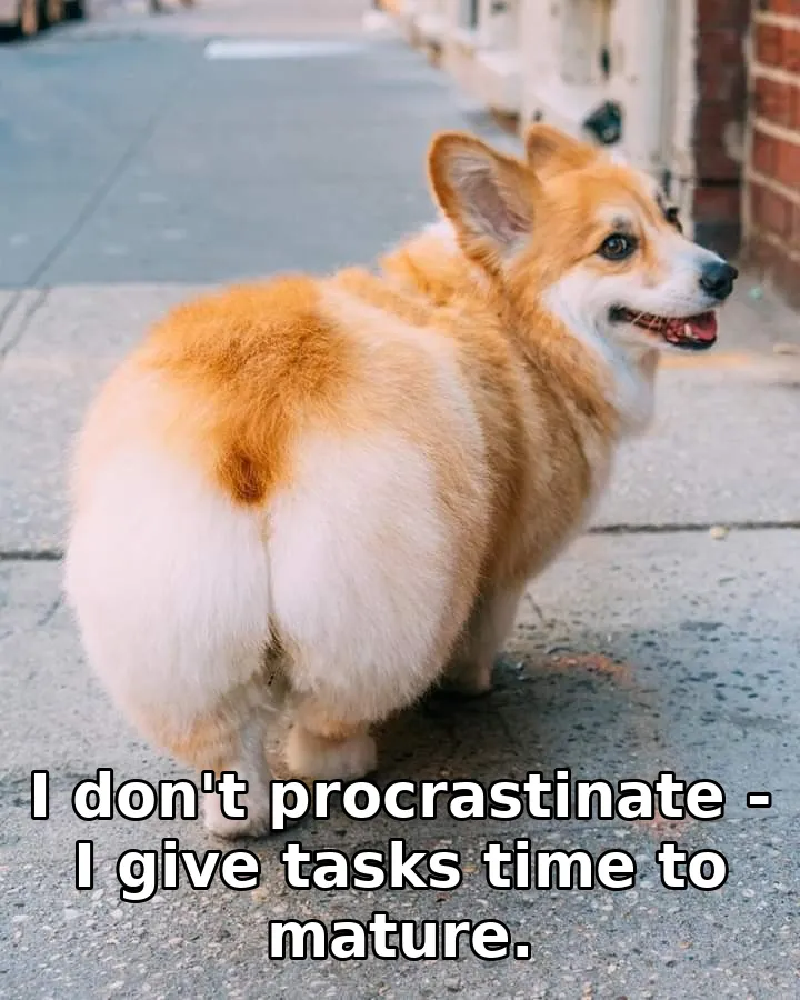 I don't procrastinate - I give tasks time to mature.