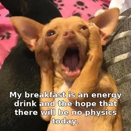 My breakfast is an energy drink and the hope that there will be no physics today.