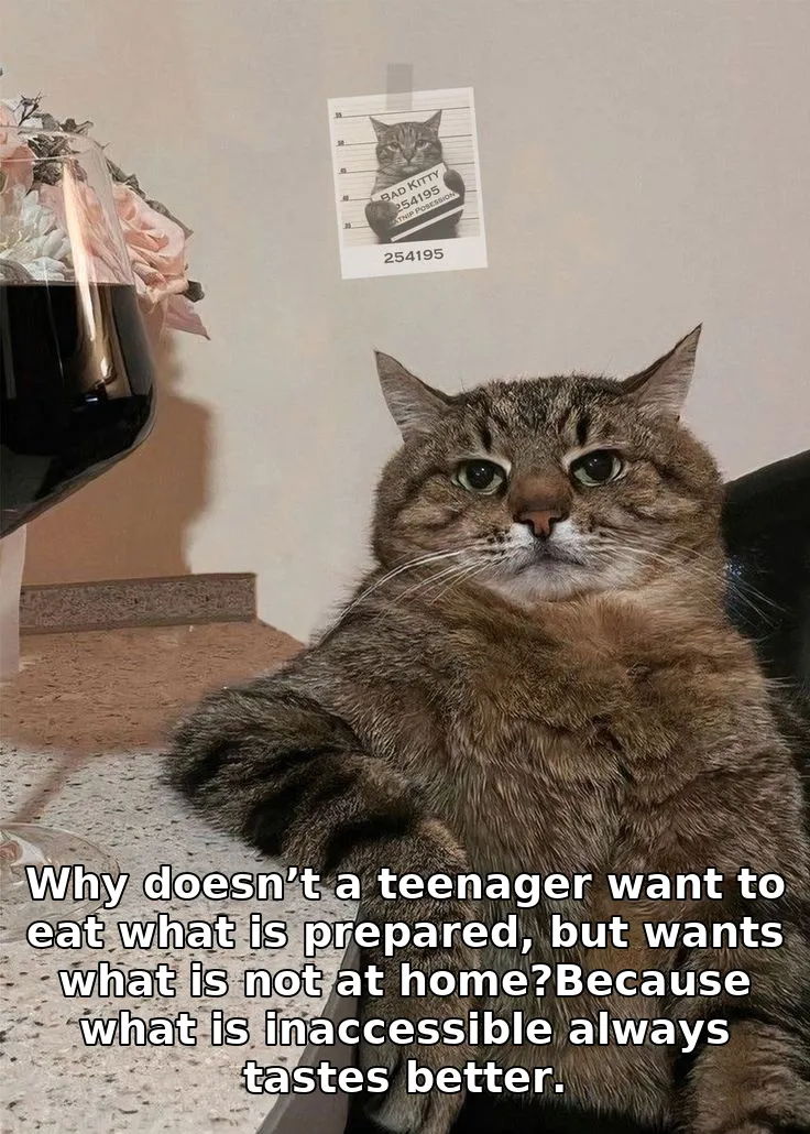 Why doesn’t a teenager want to eat what is prepared, but wants what is not at home?Because what is inaccessible always tastes better.
