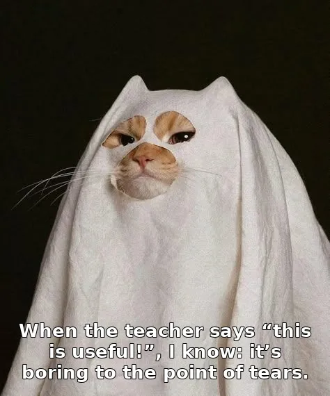 When the teacher says “this is useful!”, I know: it’s boring to the point of tears.
