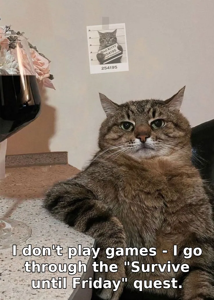 I don't play games - I go through the "Survive until Friday" quest.