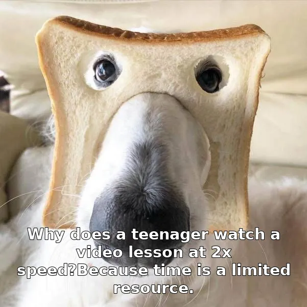 Why does a teenager watch a video lesson at 2x speed?Because time is a limited resource.