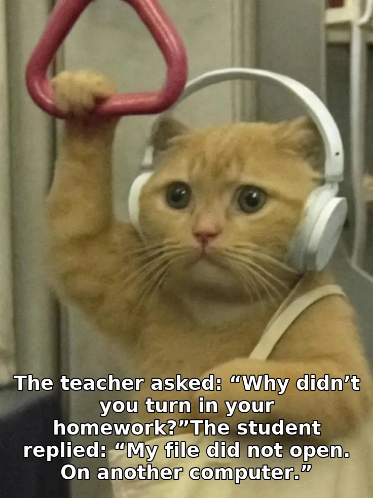 The teacher asked: “Why didn’t you turn in your homework?”The student replied: “My file did not open. On another computer.”