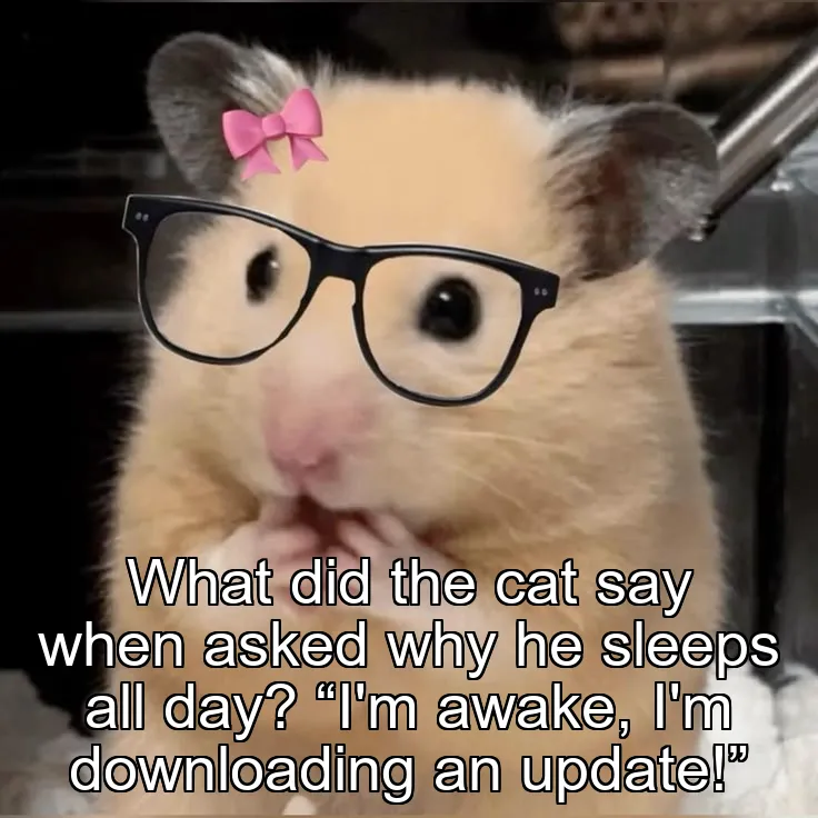 What did the cat say when asked why he sleeps all day? “I'm awake, I'm downloading an update!”
