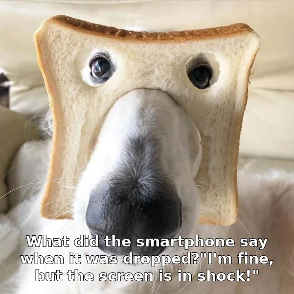 What did the smartphone say when it was dropped?"I'm fine, but the screen is in shock!"