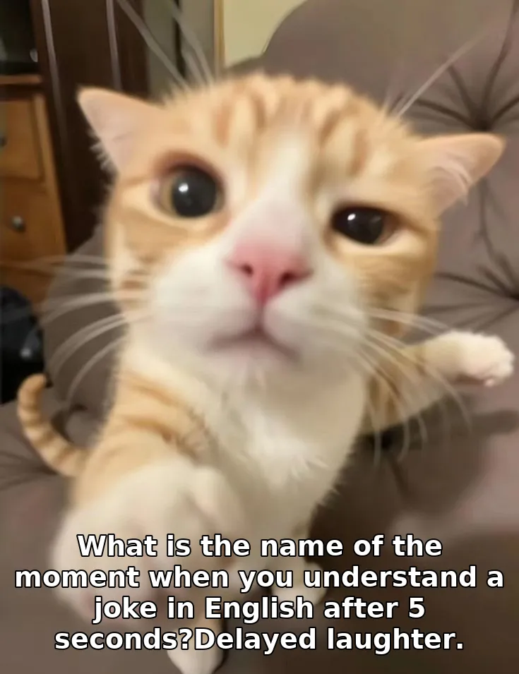 What is the name of the moment when you understand a joke in English after 5 seconds?Delayed laughter.