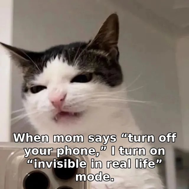 When mom says “turn off your phone,” I turn on “invisible in real life” mode.