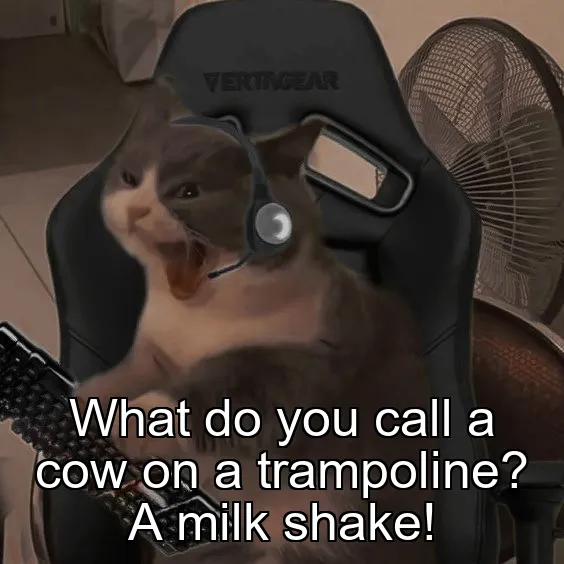 What do you call a cow on a trampoline? A milk shake!