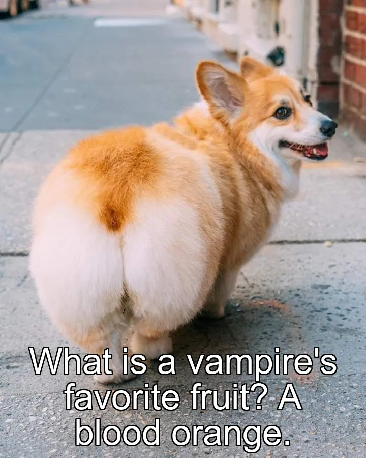 What is a vampire's favorite fruit? A blood orange.