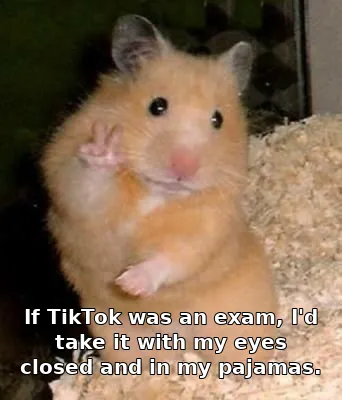 If TikTok was an exam, I'd take it with my eyes closed and in my pajamas.