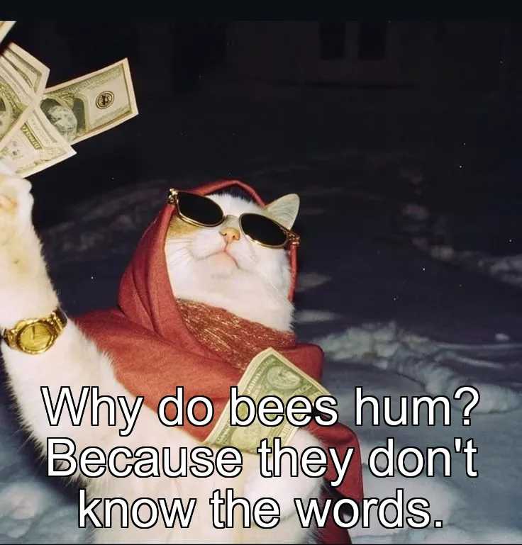 Why do bees hum? Because they don't know the words.