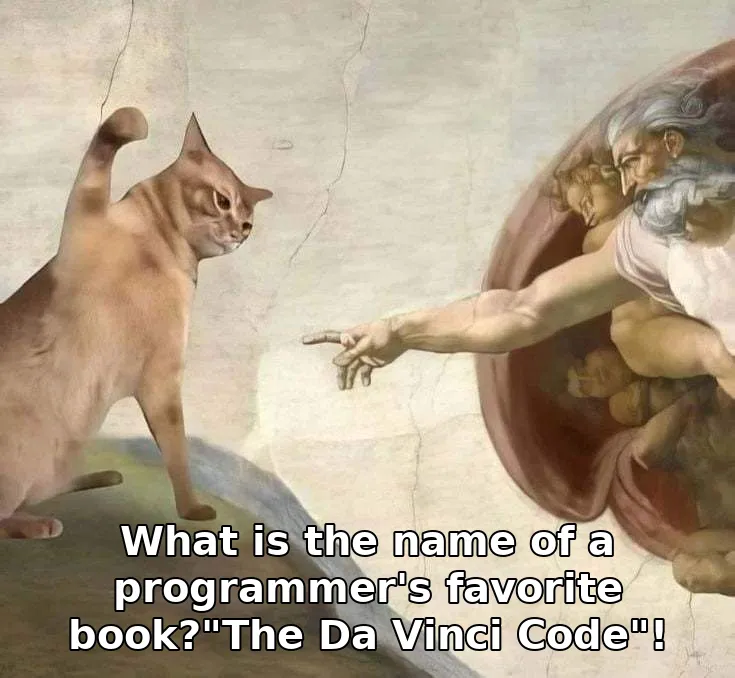 What is the name of a programmer's favorite book?"The Da Vinci Code"!