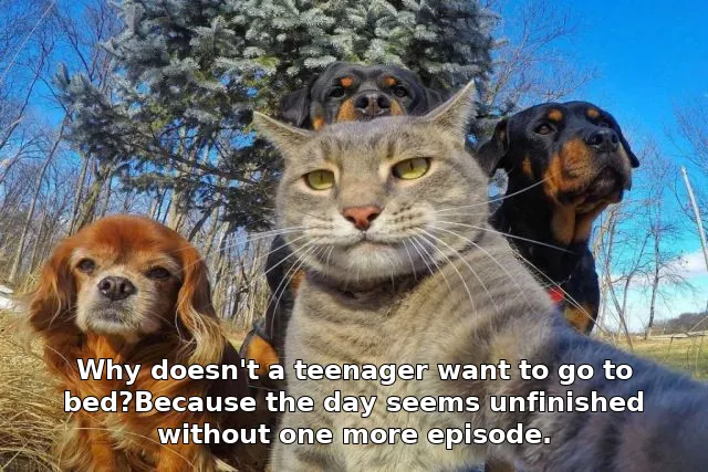 Why doesn't a teenager want to go to bed?Because the day seems unfinished without one more episode.